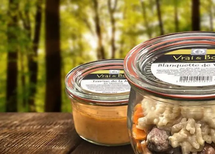 Brit Hermitage 3* Royan